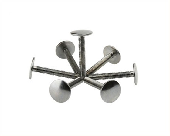 非標(biāo)扁頭螺絲 非標(biāo)扁頭螺絲