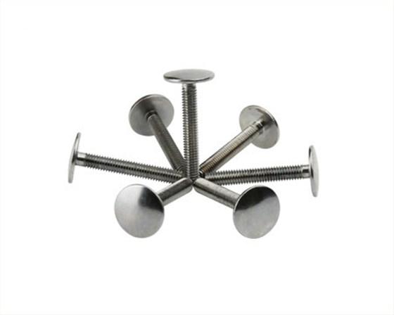 非標(biāo)異型螺絲定制扁頭螺絲 非標(biāo)異型螺絲定制扁頭螺絲