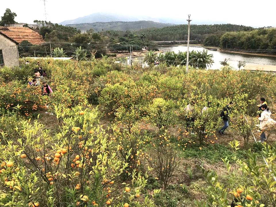 世世通戶外活動(dòng)